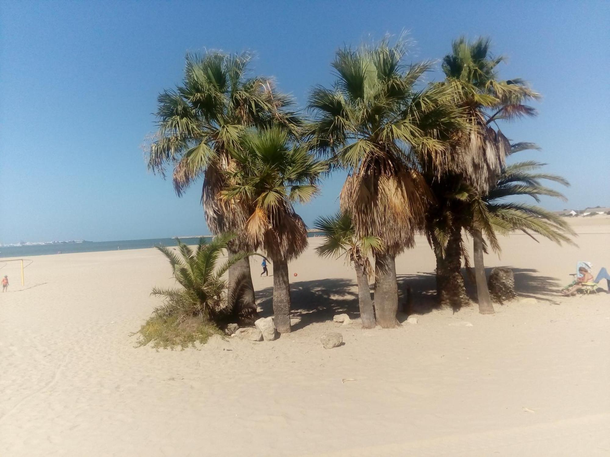 Apartamento Primera Linea De Playa Valdelagrana El Puerto de Santa María Buitenkant foto